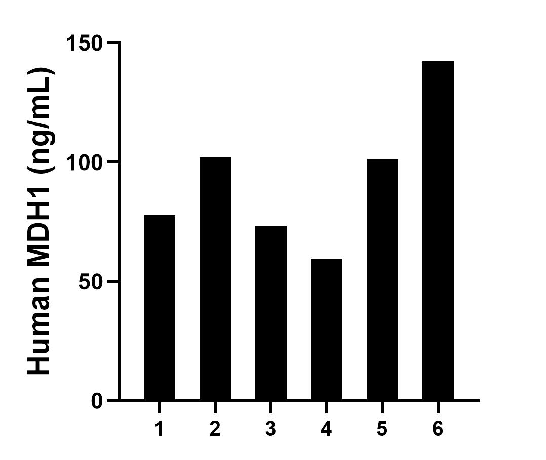 Sample test of MP01422-2